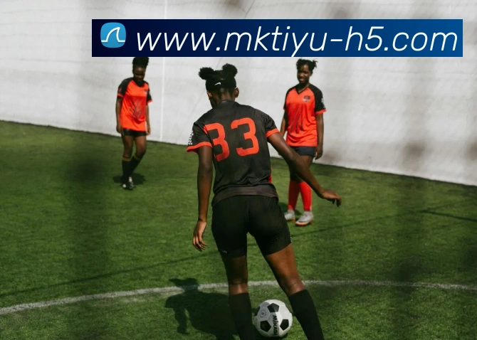 多媒体互动体验