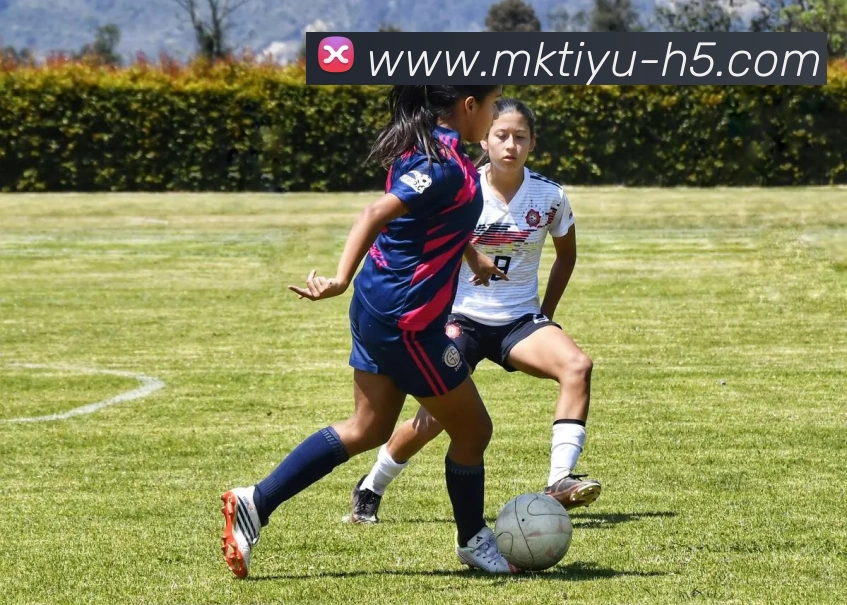 MK体育APP 体育赛事宣传图